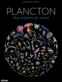 Plancton
