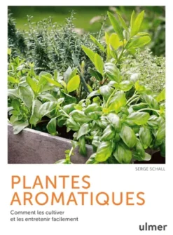 Plantes aromatiques - Comment les cultiver et les entretenir facilement