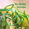 Plant gouez ar vro er gegin - Nos plantes sauvages en cuisine