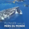 Plonger dans les mers du monde