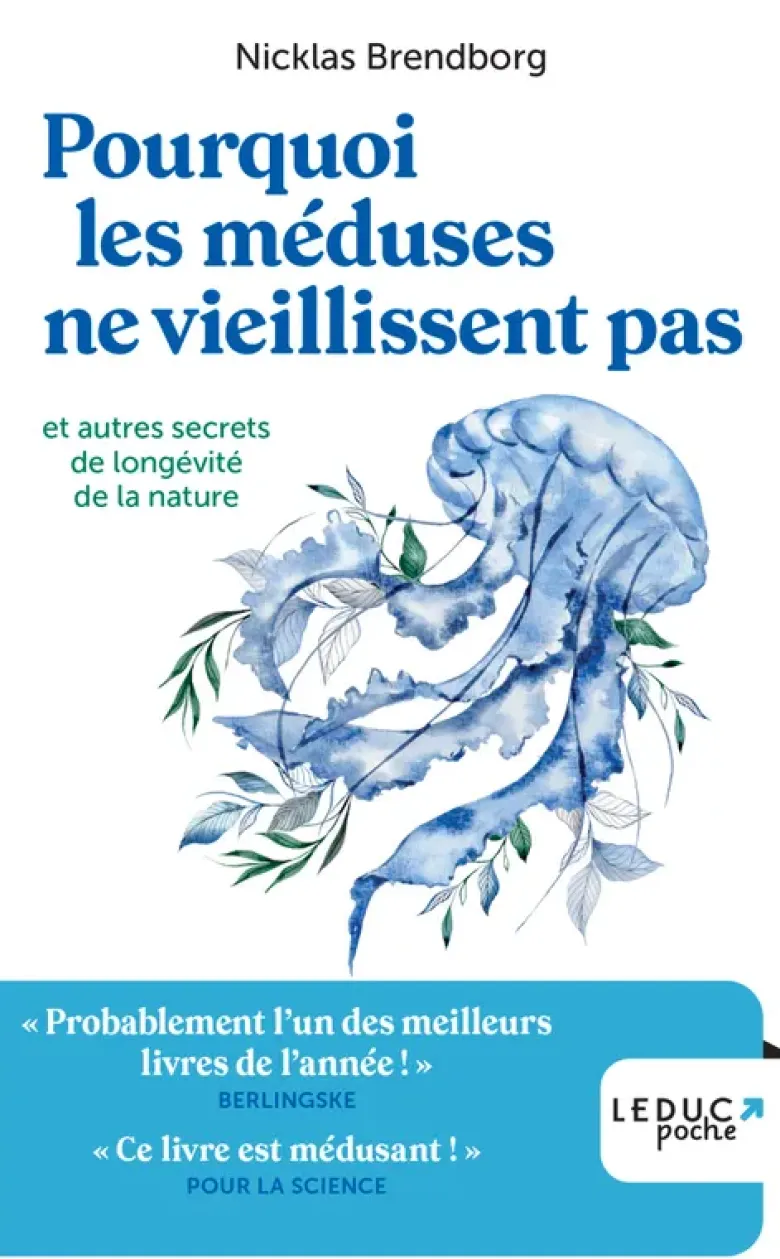 Pourquoi les méduses ne vieillissent pas