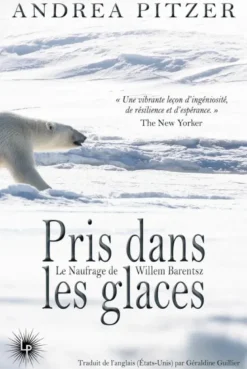 Pris dans les glaces