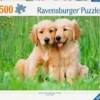 Puzzle Les Frères Golden Retriever 500 Pièces