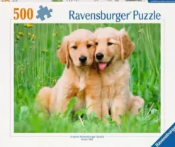 Puzzle Les Frères Golden Retriever 500 Pièces