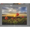 Puzzle 1000 pcs - Baies et coucher de soleil