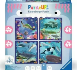4 Puzzle Up! Animaux Marins