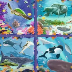4 Puzzle Up! Animaux Marins