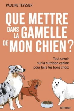 Que mettre dans la gamelle de mon chien ? - Tout savoir sur la nutrition canine pour faire les bons choix