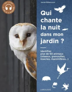 Qui chante la nuit dans mon jardin ?