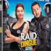 raid dingue