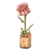 Rose - Maquette