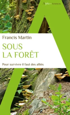 Sous la forêt