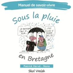 Sous la pluie en Bretagne