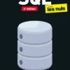 SQL poche pour les Nuls, 4e édition