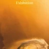 Surf exhibition