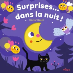 Surprises... dans la nuit !