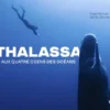Thalassa - Aux quatre coins des océans