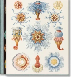 The Art and Science of Ernst Haeckel (GB/ALL/FR)
