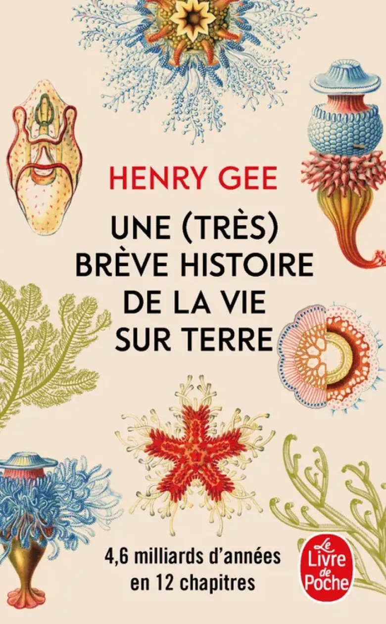 Une (très) brève histoire de la vie sur terre
