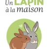 Un lapin à la maison
