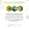 Un paysagiste pour mon jardin