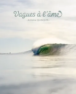 Vagues à l'âme