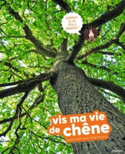 Vis ma vie de chêne