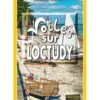 Voiles sur Loctudy