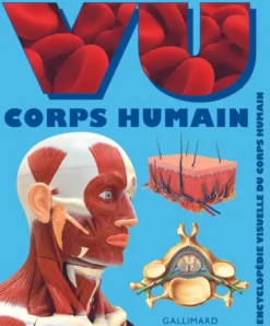 VU Corps humain