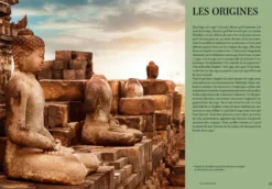 Yoga, 2500 ans d'histoire (nouvelle édition)