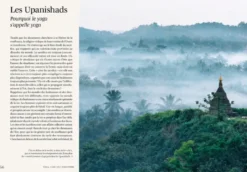Yoga, 2500 ans d'histoire (nouvelle édition)