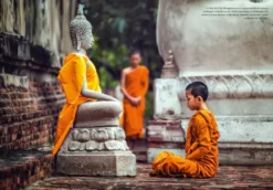 Yoga, 2500 ans d'histoire (nouvelle édition)